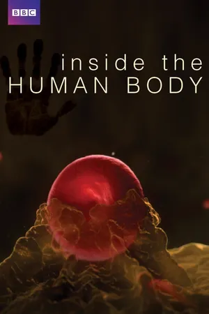 Inside the human body